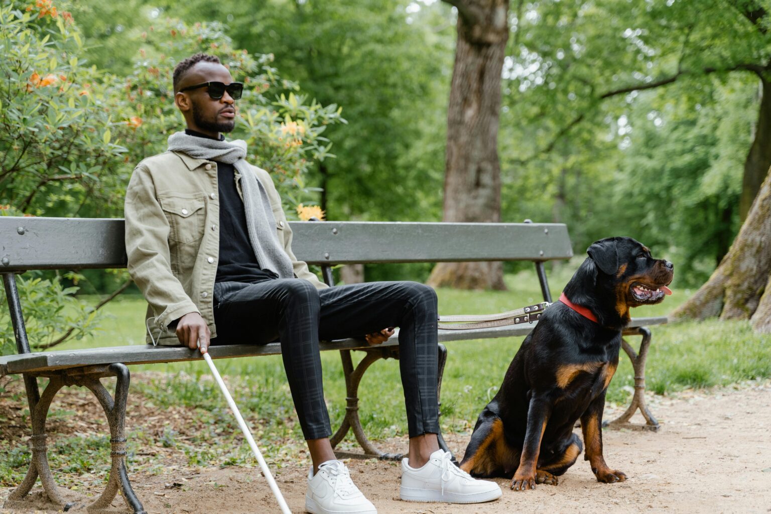 visual impaired man with a seeing dog walking in a park